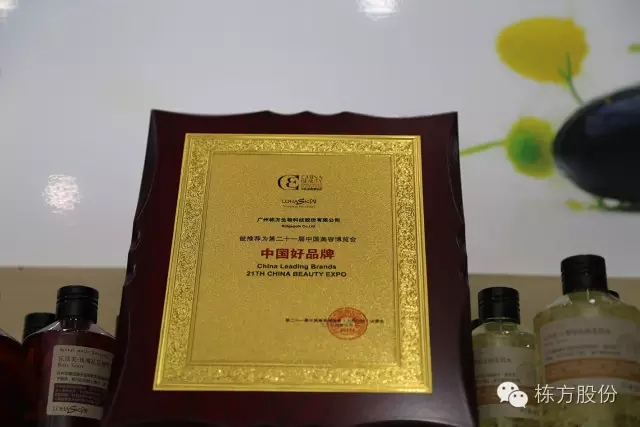 科技引領(lǐng)美麗▏棟方股份榮獲“中國(guó)好品牌獎(jiǎng)”！